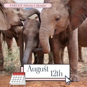 Elephant Day